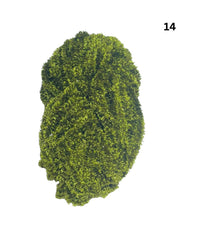 Shade 14